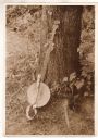 boulderfolkie