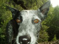 View Benignus' Homepage