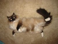 View flashover604's Homepage