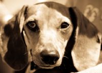 View MikeMphoto's Homepage