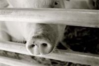 View the blood's Homepage