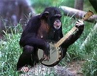 View impickin5's Homepage