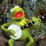 PoPo W/Banjo