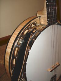 View Shetland Pony Express' Homepage