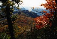View furthertofall's Homepage