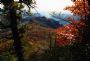 furthertofall