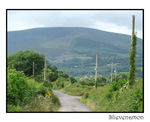 View Galtee Mountain Boy's Homepage