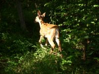 View 5stringadmirer's Homepage