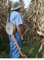 farmer bob