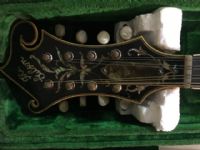 View ozarkmando's Homepage