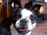 View emergencybanjo's Homepage