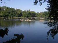 View Sally Goodin's Homepage