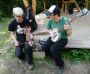 silverbucket