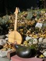 Eds Wooden Banjos