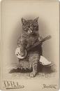 nanobanjo