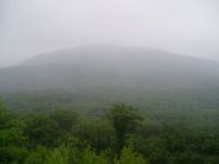 View Appalachian Echo's Homepage