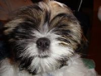 View jbraun002's Homepage