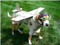 View Rocketdog's Homepage