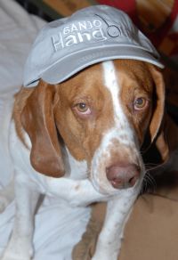 View David Bochenek's Homepage