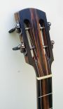 Buckeye Banjo Owners Group