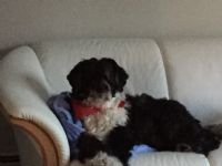 View jwstahl's Homepage