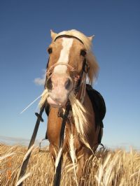 View Aussie_Rox's Homepage