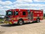 firefish317