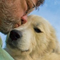 View Flint Hill's Homepage