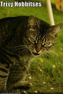 View tex77's Homepage