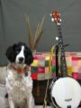 5thstring