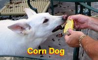 View dogwood's Homepage