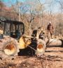 Logger