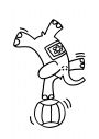 primitive fred