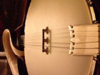 View mdgerst's Homepage