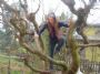 prisca