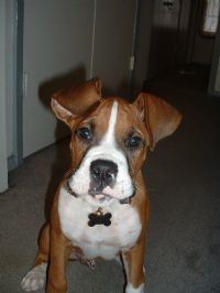 View triiac's Homepage