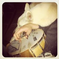 View taffywasathief's Homepage