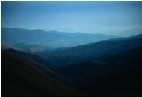 View cumberland blues' Homepage