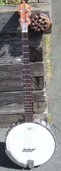 View spittenkittens' Homepage