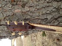 View Ribtickler's Homepage