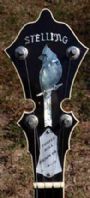 banjogirl1980