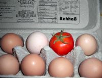 View Kehhab's Homepage