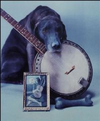 View bayviewrr's Homepage