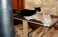 View qajaqcat's Homepage