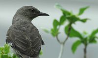 View soulcarve's Homepage