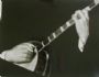Plectrum Banjoist