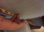BaseballCatch