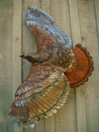 View ironfeather's Homepage