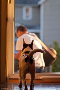 View dkrovetz's Homepage