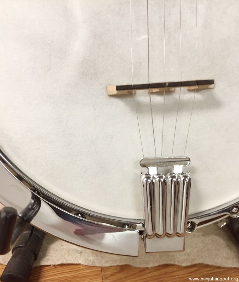 Bradford & Franzke Hawthorn® RB12 style Walnut fivestring resonator